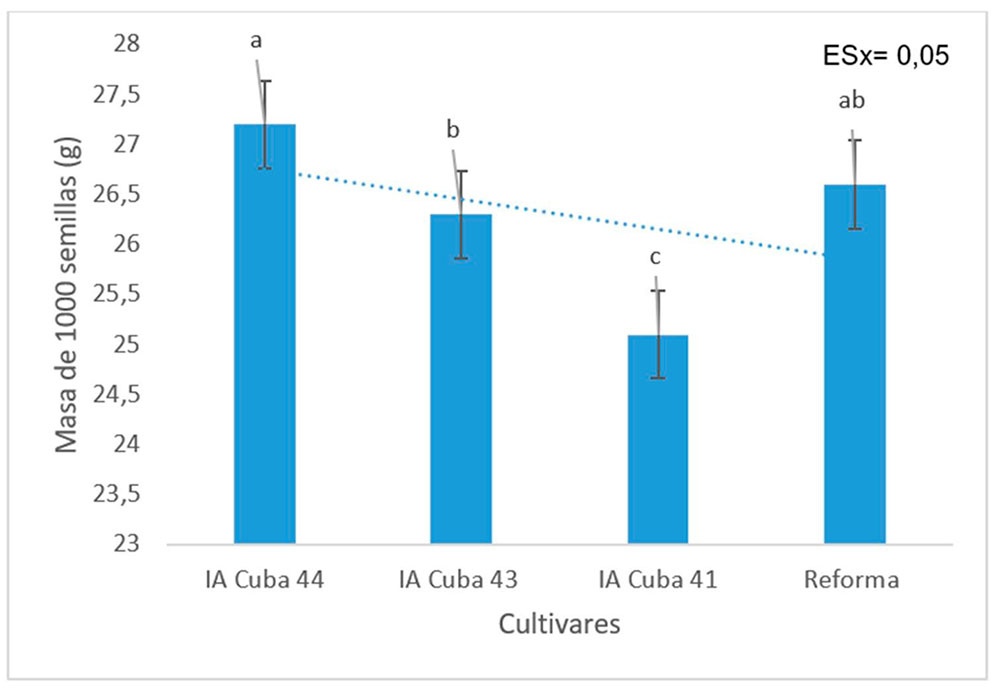 Masa de 1000 semillas de los cultivares de arroz en la campaña de frío, en el municipio Río Cauto, provincia Granma. Letras desiguales indican diferencias significativas según Duncan p≤0.05.