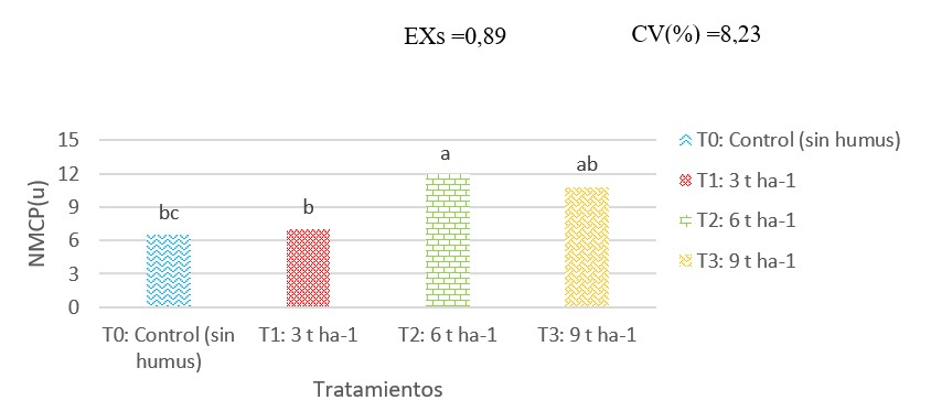 Número de minitubérculos comerciales por planta (NMCP) de papa cultivar ‘Atzimba’ en respuesta a la aplicación de humus de lombriz, en condiciones de montaña.