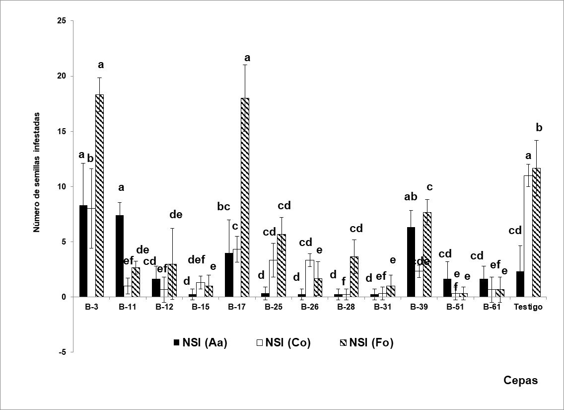 Efecto de la aplicación de cepas de Bacillus sp en el control de hongos fitopatógenos en semillas de tomate cv. ´INIFAT-28’. Letras iguales no difieren significativamente entre sí para p≤ 0,05 según Prueba de Rangos Múltiples de Duncan.