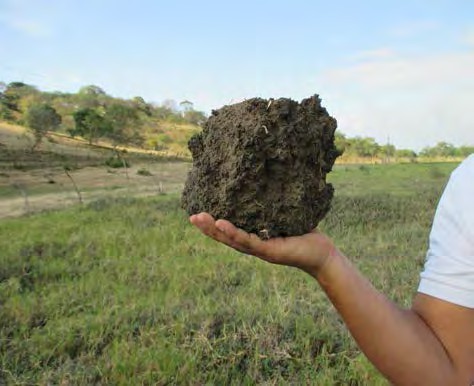 Veitía Santana caras de deslizamiento.