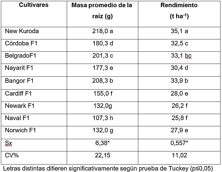 Comportamiento de la masa promedio de la raíz y el rendimiento.