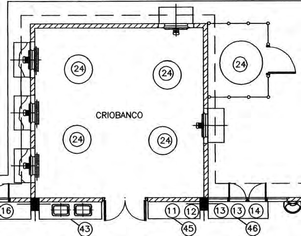 Muestra el diseño del criobanco en una escala 1:100, con la ubicación de los cuatro criotanques (24) dentro del laboratorio y el criotanque abastecedor (24) fuera del área del laboratorio.