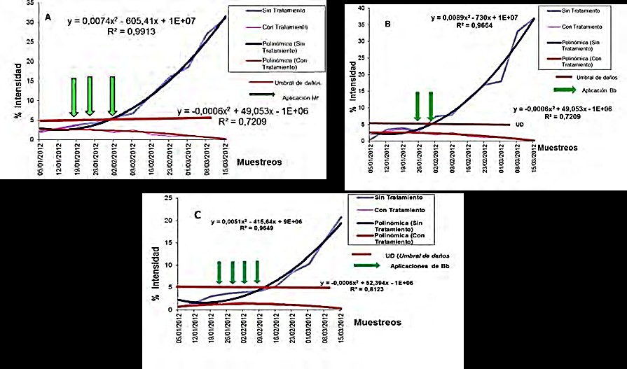 Porcentaje de intensidad (A) Empoasca kraemeri Ross y Moore, Harris (B) Diabrotica balteata Le Conte (C) Andrector ruficornis Oliver.