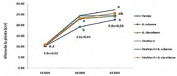 Dinámica del crecimiento en altura de la habichuela ante la aplicación simple y combinada de dos cepas de HMA y FitoMas®-E. Medias con letras distintas difieren entre sí, según prueba de Rangos múltiples de Duncan (p 0.05).