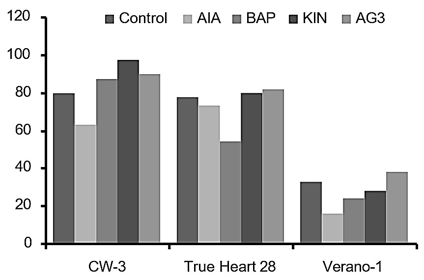 Efecto de los reguladores del crecimiento sobre la germinación de semillas de diferentes cultivares de pimiento. (AIA: ácido indol acético; BAP: 6- bencil amino purina; KIN: 6- furfuril amino purina, AG3: ácido giberélico)