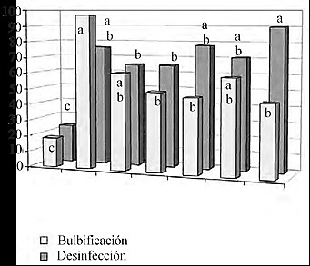 Comportamiento de la desinfección y del vigor de las plantas (expresado en el porcentaje de bulbificación), para los diferentes tratamientos de desinfección. Clon Quivicán