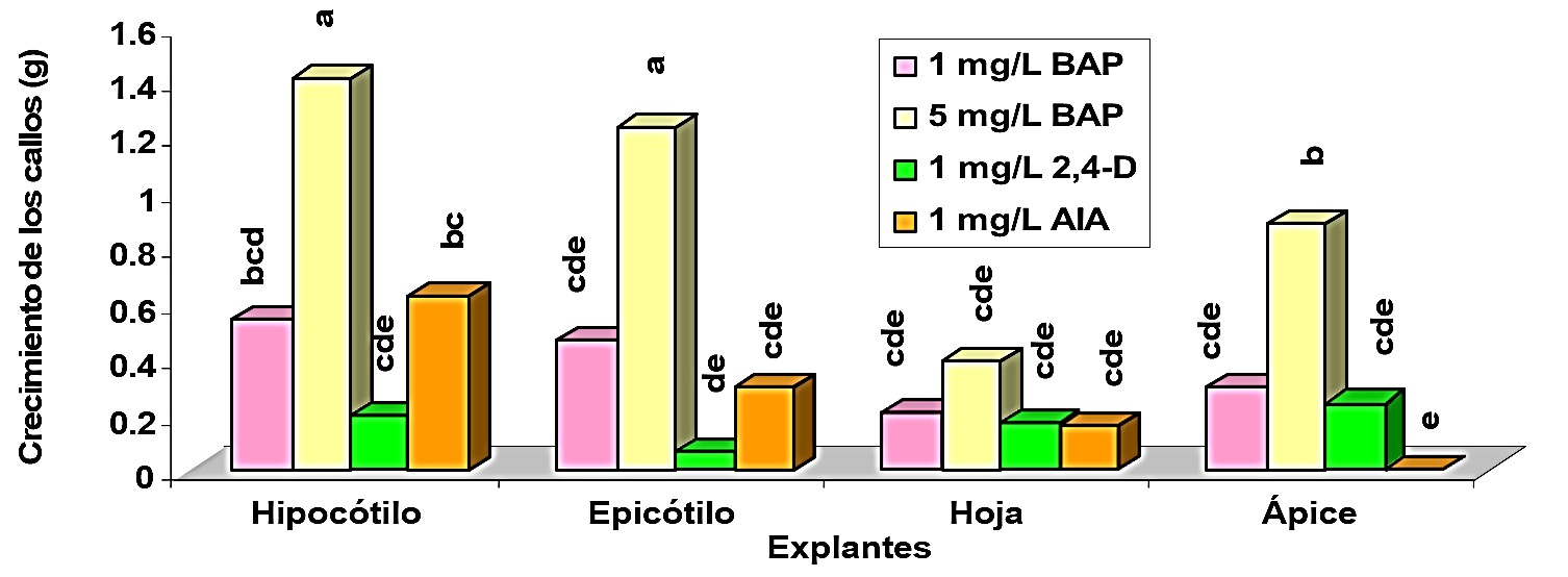 Interacción medio-explante en el crecimiento de los callos de girasol