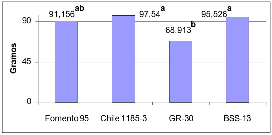 Evaluación del rendimiento en gramos por planta de lechuga en la segunda siembra de verano en el huerto intensivo de la UBPC ¨Vivero Organopónico de Alamar¨.