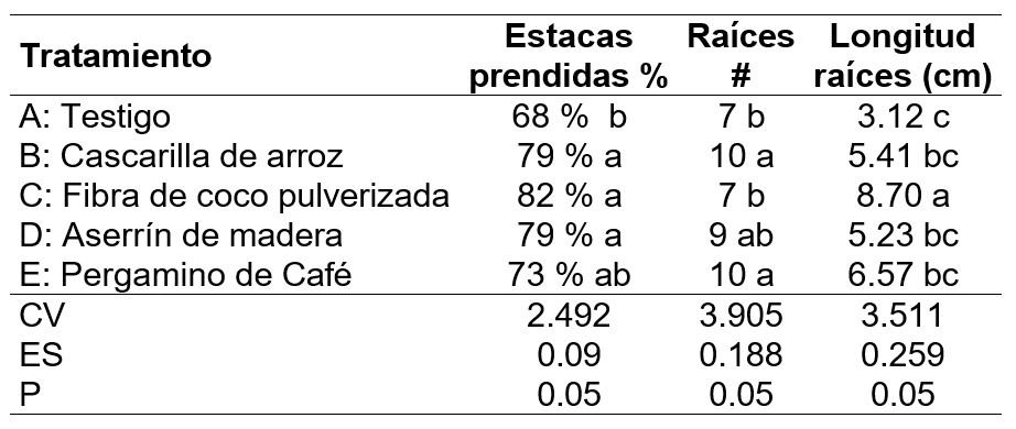 Resultados por variables.